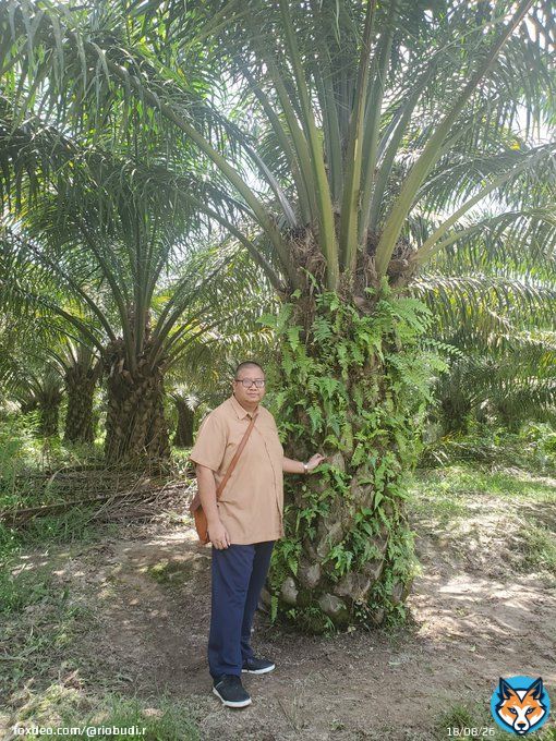 Promoting export of sustainable vegetable oils! Heading towards zero waste!  #PalmOil #Sustainability #IniDiplomasi  #IndonesiaWay