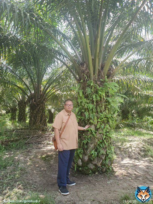 Promoting export of sustainable vegetable oils! Heading towards zero waste!  #PalmOil #Sustainability #IniDiplomasi  #IndonesiaWay