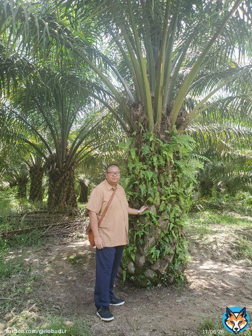 Promoting export of sustainable vegetable oils! Heading towards zero waste!  #PalmOil #Sustainability #IniDiplomasi  #IndonesiaWay