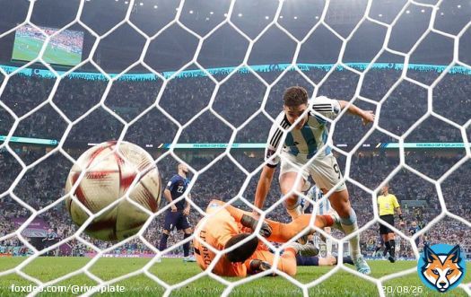 Ara&ntilde;a Mundial    Getty