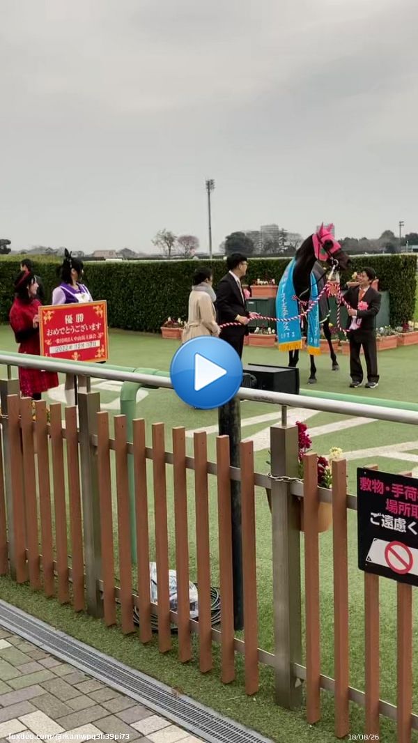 #ターコイズステークス #ウマ娘 #中山競馬場 #中山馬主協会  中山の女帝ミスニューヨーク を見つめる有馬記念の鬼 シンボリクリスエス