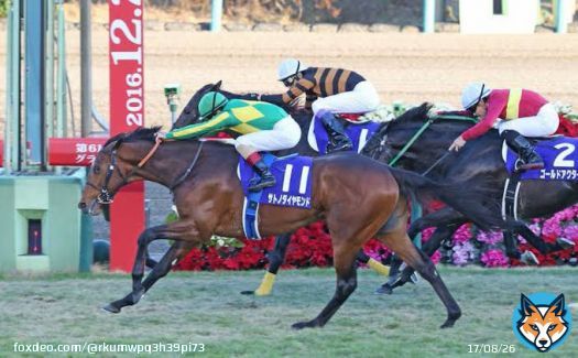 #有馬記念 #ウマ娘  ルメール二度目のクリスマス有馬制覇 サトノダイヤモンド 2着キタサンブラック  そして三度目のクリスマス有馬制覇は その破ったキタサンブラックの子 イクイノックスで有馬記念勝ち  忠実キタサトで泣く