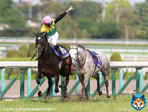 約9ヶ月前阪神三冠馬タイトルホルダー の背中を見て懸命にくらいつき レース後には空馬で駆け抜けたり メロディーレーンちゃんに見守られたり と色々ネタ枠になったが、 その後ステイヤーズSで重賞を勝って 今回サウジでも海外馬相手に重賞制覇 ある意味永遠に記憶に残りそうな シルヴァーソニック好き