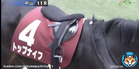 #弥生賞  　　　　　　　　　　　　　　典 トップナイフ