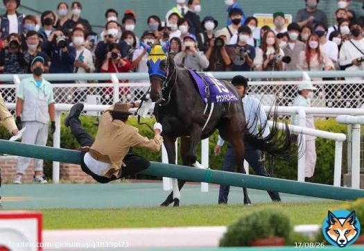 #阪神牝馬ステークス  放馬した秋華賞と同じ阪神で重賞を勝つ 放馬マスターサウンドビバーチェ