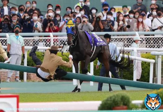 #阪神牝馬ステークス  放馬した秋華賞と同じ阪神で重賞を勝つ 放馬マスターサウンドビバーチェ