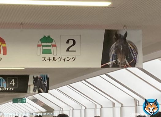お疲れ様スキルヴィング 競馬は大好きだが今までダービー見てきて正直一番後味悪いダービーだった タスティエーラはもちろん凄いし 他の馬達も頑張った けどスキルヴィングはゴールは 出来たが助からなかったこれが悔しい 競馬は結果がわからないからこそ面白いがそこが怖い所もある 来年は全頭無事に