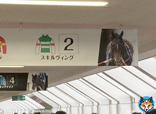 お疲れ様スキルヴィング 競馬は大好きだが今までダービー見てきて正直一番後味悪いダービーだった タスティエーラはもちろん凄いし 他の馬達も頑張った けどスキルヴィングはゴールは 出来たが助からなかったこれが悔しい 競馬は結果がわからないからこそ面白いがそこが怖い所もある 来年は全頭無事に