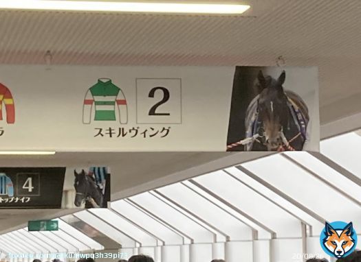 お疲れ様スキルヴィング 競馬は大好きだが今までダービー見てきて正直一番後味悪いダービーだった タスティエーラはもちろん凄いし 他の馬達も頑張った けどスキルヴィングはゴールは 出来たが助からなかったこれが悔しい 競馬は結果がわからないからこそ面白いがそこが怖い所もある 来年は全頭無事に