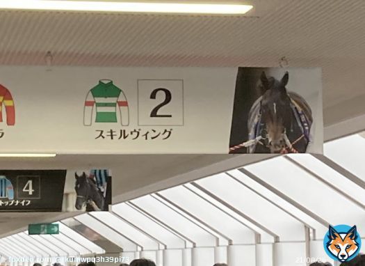 お疲れ様スキルヴィング 競馬は大好きだが今までダービー見てきて正直一番後味悪いダービーだった タスティエーラはもちろん凄いし 他の馬達も頑張った けどスキルヴィングはゴールは 出来たが助からなかったこれが悔しい 競馬は結果がわからないからこそ面白いがそこが怖い所もある 来年は全頭無事に