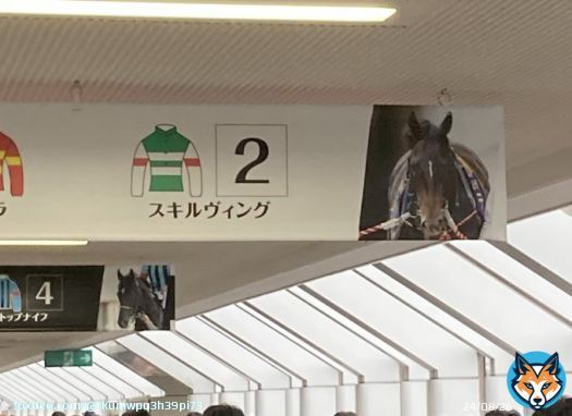 お疲れ様スキルヴィング 競馬は大好きだが今までダービー見てきて正直一番後味悪いダービーだった タスティエーラはもちろん凄いし 他の馬達も頑張った けどスキルヴィングはゴールは 出来たが助からなかったこれが悔しい 競馬は結果がわからないからこそ面白いがそこが怖い所もある 来年は全頭無事に