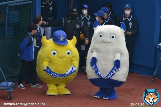 久々のマスコット and監督さん #三浦大輔  #BayStars #横浜頂戦