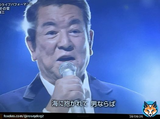 若大将は永遠だあああ黒柳徹子さんのコメント「ハンサムでした」が全てを現していました\u266a #若大将 #加山雄三 #海よ #黒柳徹子 #NHK紅白歌合戦