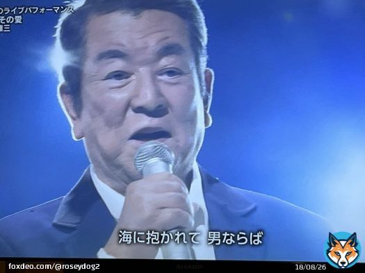 若大将は永遠だあああ黒柳徹子さんのコメント「ハンサムでした」が全てを現していました\u266a #若大将 #加山雄三 #海よ #黒柳徹子 #NHK紅白歌合戦