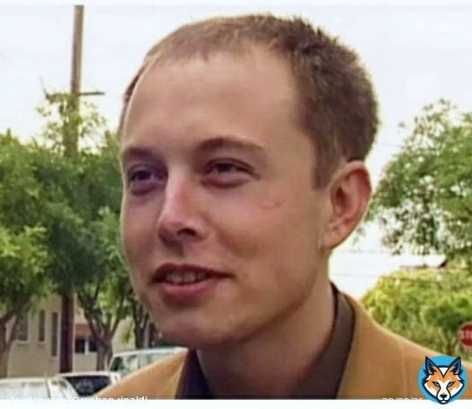 Elon Musk spent $44 billion,... in an attempt to prevent you from retweeting this photo: