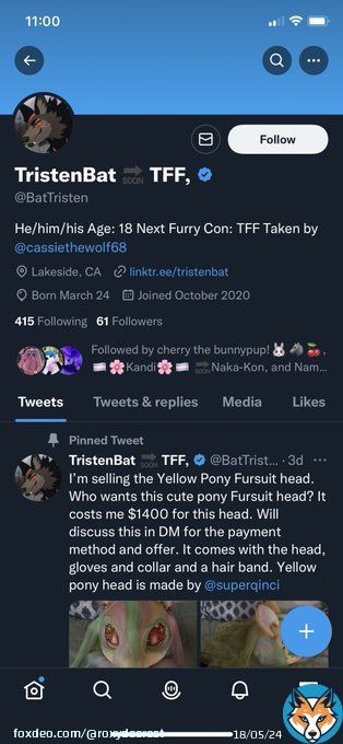 ARTISTS BEWARE This person @BatTristen came to me and asked for a commission worth $60. After I sent him his finished commission they issued a chargeback on his credit card. Which means he got all of his money back.