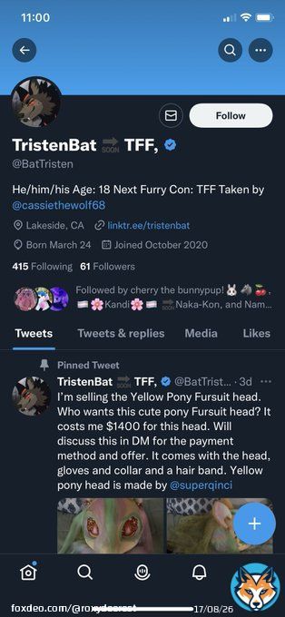 ARTISTS BEWARE This person @BatTristen came to me and asked for a commission worth $60. After I sent him his finished commission they issued a chargeback on his credit card. Which means he got all of his money back.
