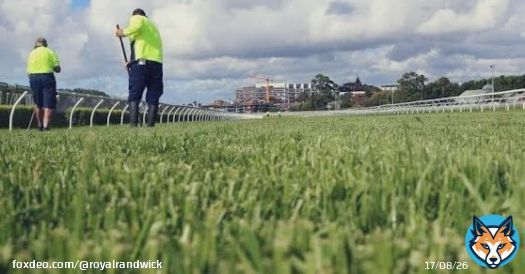 #Kensington track update @royalrandwick Track rating - Soft 5 Rail - True Peno- 4.90 Irrigation last 24hrs- Nil Irrigation last 7 days - 4mm Rainfall last 24hrs - 8.8mm Rainfall last 7 days - 9.8mm