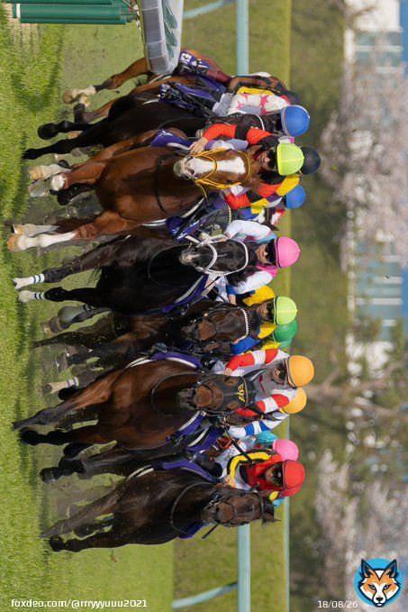 あーありがとうございます ね、いま大阪杯のジャックドールが先頭を走ってくる&ldquo;G1初制覇&rdquo;の4コーナーを頂きましたけどもね。 こんなんなんぼあっても良いですからねぇ
