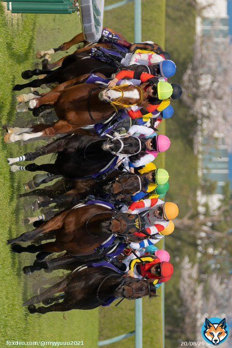 あーありがとうございます ね、いま大阪杯のジャックドールが先頭を走ってくる&ldquo;G1初制覇&rdquo;の4コーナーを頂きましたけどもね。 こんなんなんぼあっても良いですからねぇ