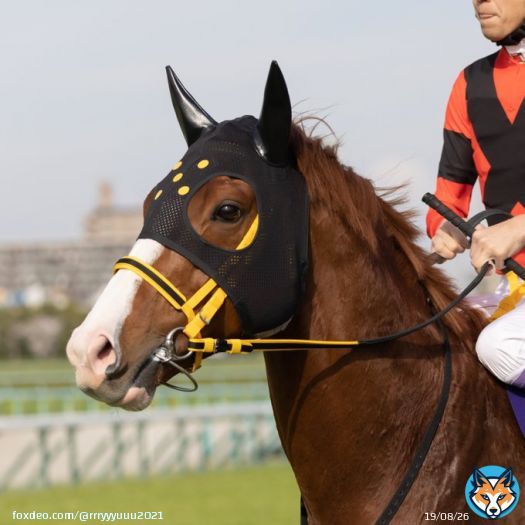 可愛さ優勝 #ジャックドール &times; #大阪杯