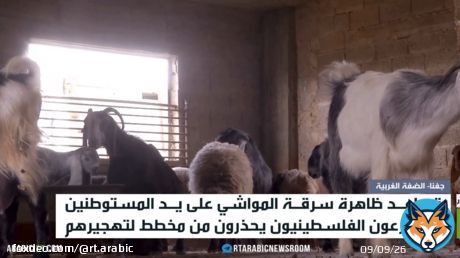 اعتداء المستوطنين بالضفة نهج منظم