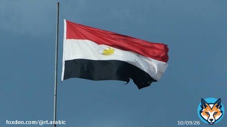 مصر.. أستاذ شريعة بجامعة الأزهر يعلق على تحديد 6 أشهر لطلب فسخ عقد الزواج في قانون الأسرة