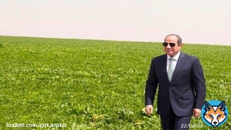 وزير مصري: السيسي بيتحاسب على المياه بالمتر المكعب زي المصريين