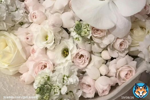من منصة الجمال في شنغهاي إلى دونيتسك.. حسناء روسية تسافر 48 ساعة لرؤية زوجها (صور)