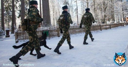 Польские силовики выбросили тело беженца на границе с Беларусью