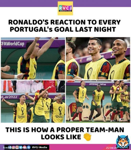 His reaction was priceless  #FIFAWorldCup #Qatar2022 #PORSUI