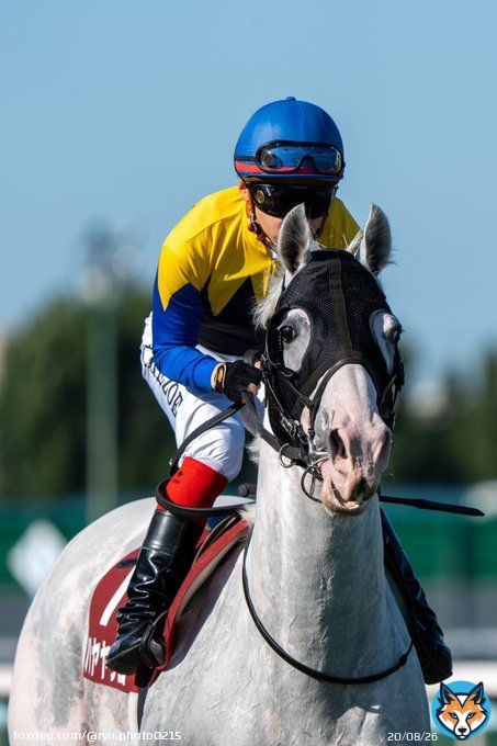 ヤッコさん！がんばれ！ #ハヤヤッコ #日経新春杯