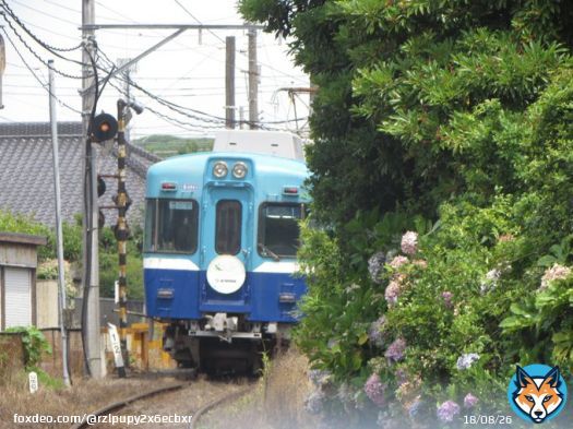 銚子電鉄に伊予鉄道から3000形(井の頭線)が来る計画があったらしいけど車両限界(？)が無理だったらしい