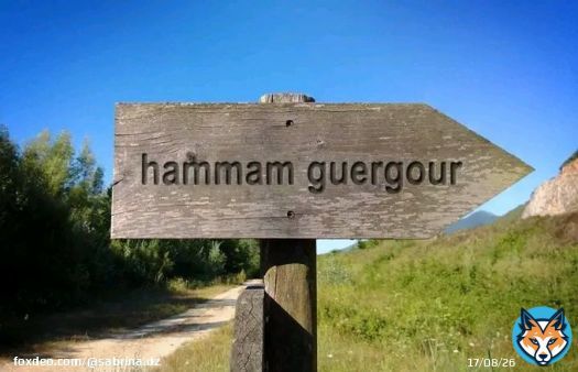 Hammam Guergour (l'antique 'Ad Sava Municipium) est une localit&eacute; montagneuse situ&eacute;e entre les cha&icirc;ne des Babors et des Bibans dans la wilaya de S&eacute;tif. Le village est c&eacute;l&egrave;bre gr&acirc;ce &agrave; la sp&eacute;c;cificit&eacute; de sa source naturelle d'eau chaude &agrave; 44 &deg;C, et surtout par son fort taux de