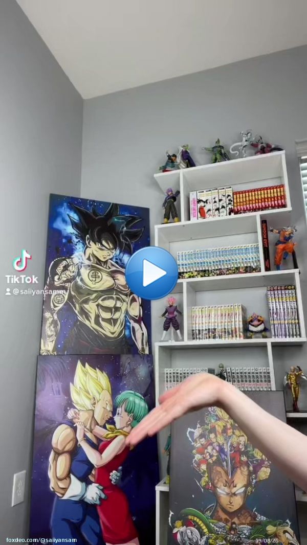 Your waifus fav anime