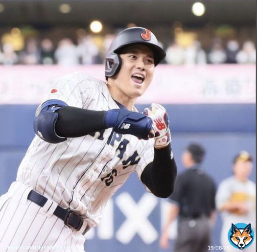 大谷翔平&larr;WBC日本代表 ディマリア&rarr;W杯アルゼンチン代表 このポーズの躍動感よ&hellip;