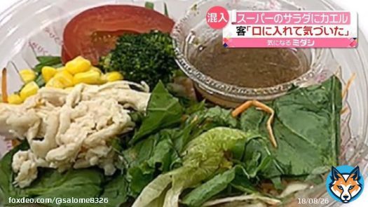 スーパーのサラダに&ldquo;カエル &rdquo;混入 客 ｢口に入れて気づいた｣と訴え 長野  ＞上田市「イトーヨーカドー」に8食納入回収できたのはそのうち3つこれ迄健康被害の連絡などない  健康被害云々以前の問題では？ 口に入れてから気づくとか これがコオロギならどうなのか