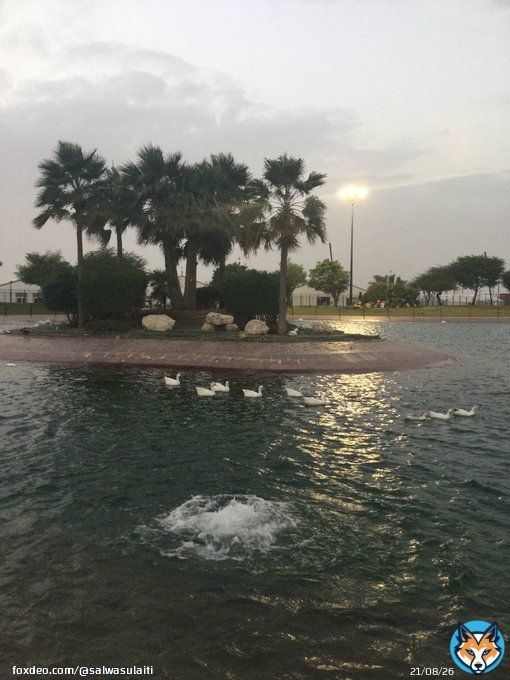 مساء هادئ .. وبارد من مدينة #الخور الجميلة   حديقة .. استاد البيت   انصحكم بزيارتها .. احبتي   رائعة حقاً ..     #مساء_الخير   #قطر_البحرين  #خليجي_25   #حديقة_البيت_الخور   #دنياك_دنياي