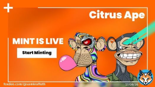 Don't miss out on the epic Borovik and Ben collab! ThisIsOrange available for holders, mint it today!     #memecoin $meme $pepe $psyop $ben #ben #memecoinseason #dyor #1000x #gem $bnb hong kong $btc #bitcoin $eth #nfts $volt $tzuki $mx $fckit $rfd