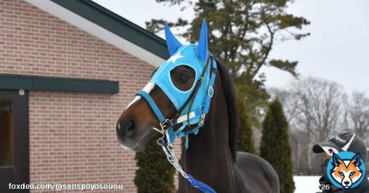 #オジュウチョウサン がＹｏｇｉｂｏヴェルサイユリゾートファームで種牡馬入り - サンスポZBAT!   ２７日にはカフェの新装オープンを予定しており、いずれはオジュウチョウサンを眺めながらカフェを楽しむ空間を作り出したいとのことだ。