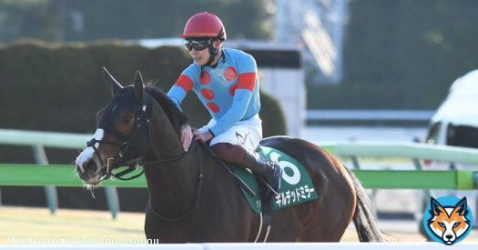 【#根岸Ｓ】#ギルデッドミラー 前走の再現ならず２着　三浦「勝ち切れずに申し訳ありません」 - サンスポZBAT!  @sanspoyosououより