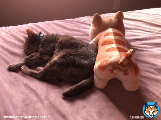 Angel has a BF now. \ud83d\ude01