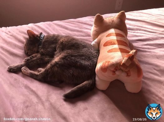 Angel has a BF now. \ud83d\ude01