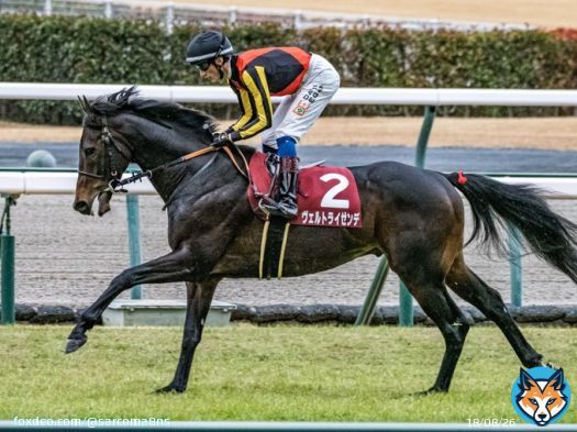 #日経新春杯  #ヴェルトライゼンデ
