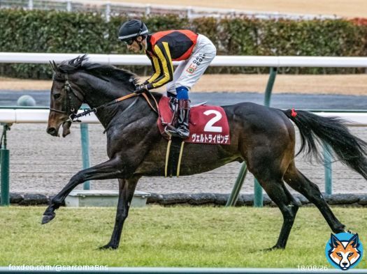 #日経新春杯  #ヴェルトライゼンデ