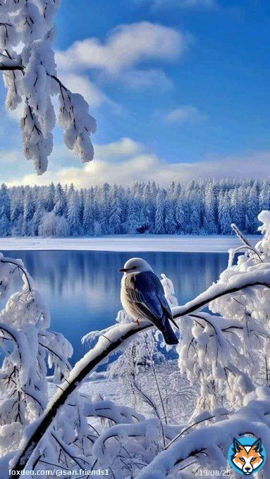 ???????????????????????????????????? ????????????????????????  #naturelovers #nature #NatureBeauty