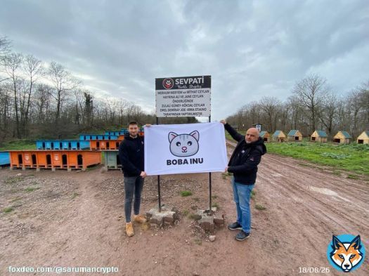 #bobainu aims to build a more livable world for them by using the power of animal love and crypto.  @inu_boba #Bitcoin #shib #usdt #crypto #Airdrop #NFTs #Metaverse #Web3