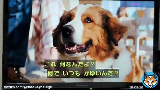 #僕のワンダフルジャーニー  高木渉さんが担当。 ザ・バンド使えそうなワンチャン