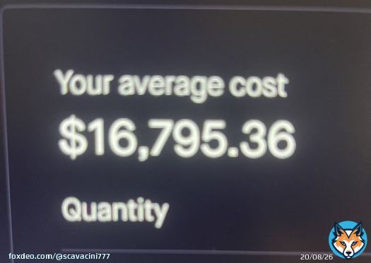 I have a blond grandma & a black grandmother so I don't have 'a dog in the fight', I've got 2, I don't want the dogs to fight at all, it's how the banksters keep us divided, let's unite around #Bitcoin!  What a gift it is to have bought #BTC at 1TC at 16k, my grandkids will be proud!