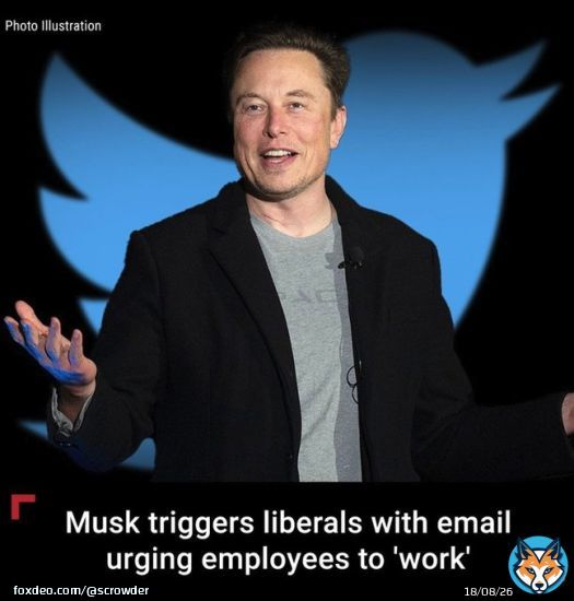 An honest day's work = A liberal's worst nightmare. #ElonMusk #TwitterShutdown
